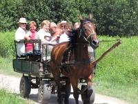 Tradicionelle Keller Party